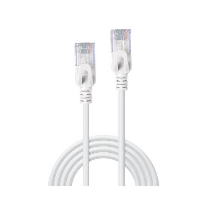 LINDY Câble réseau (RJ-45, 2 m)