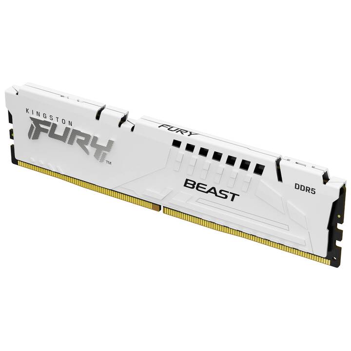 KINGSTON TECHNOLOGY Fury Beast KF564C32BW-16 (1 x 16 Go, DDR5 6400 MHz, DIMM 288-Pin)