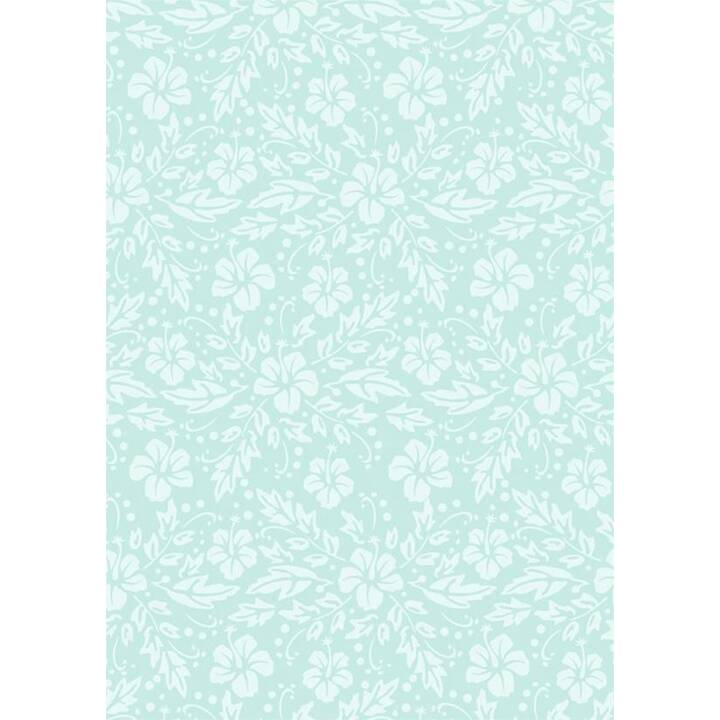 URSUS Carton Hibiskus (Multicolore, A4, 5 pièce)