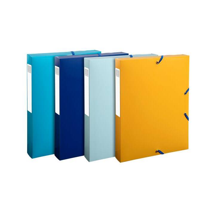 EXACOMPTA Dossier d'index (Bleu marine, Bleu clair, Turquoise, Jaune safran, A4, 1 pièce)