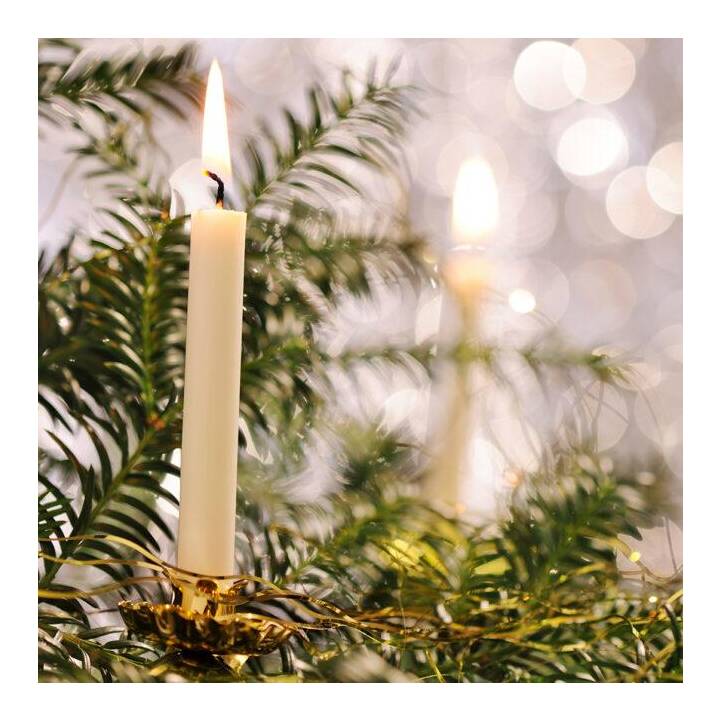 BALTHASAR Candela d'albero Ecru (20 pezzo, Natale, Beige, Bianco)