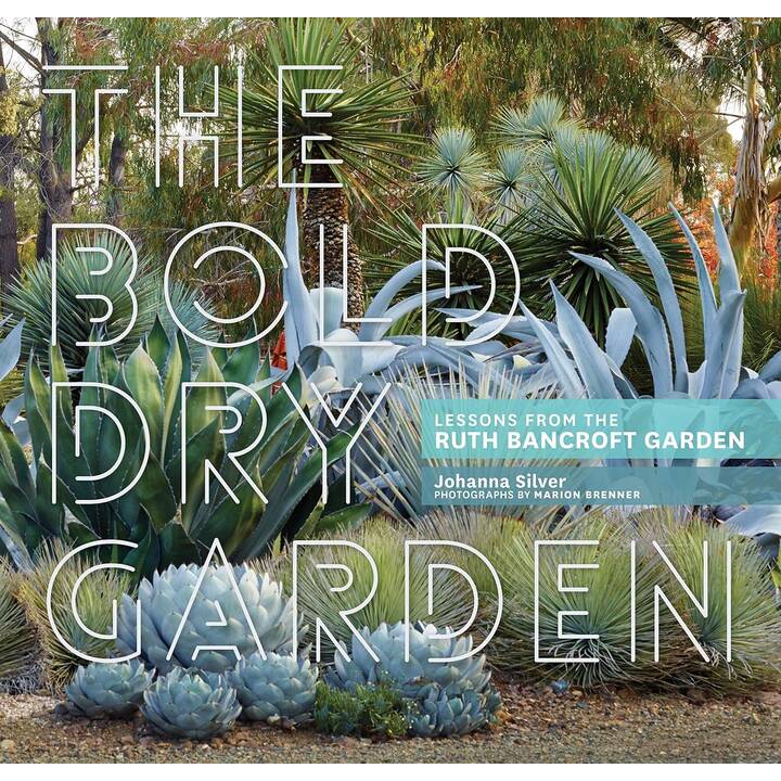 The Bold Dry Garden