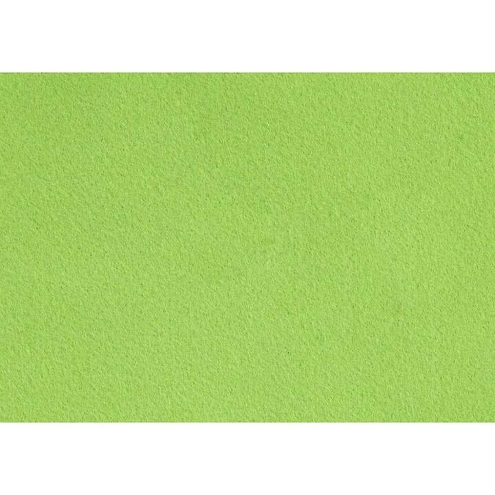 CREATIV COMPANY Feltro Verde chiaro, Verde (10 pezzo)