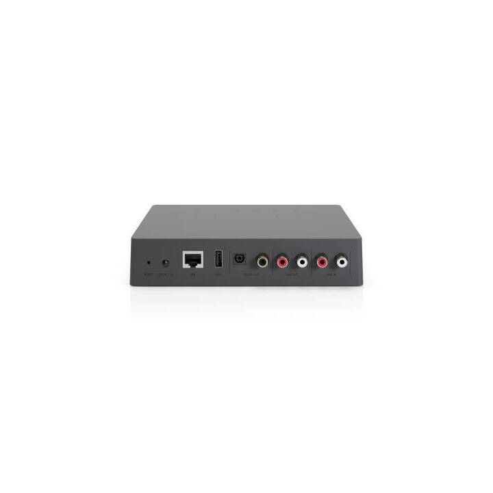 AUDIO PRO Link2 (Grigio)