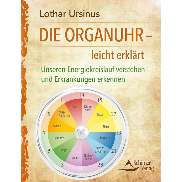 Die Organuhr - leicht erklärt