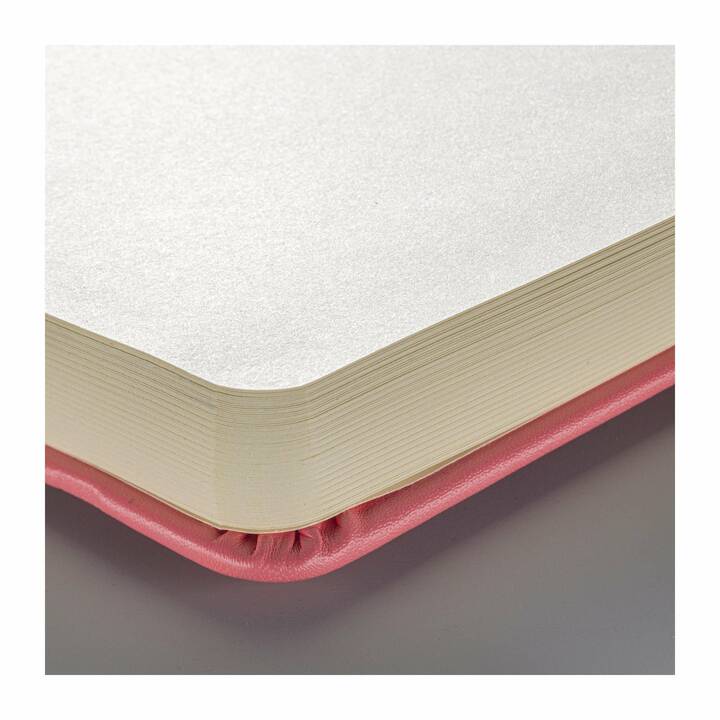 TALENS Album per schizzi (13 cm x 21 cm, In bianco)