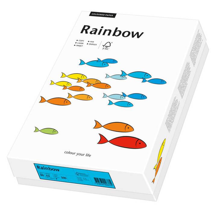 PAPYRUS Rainbow Farbiges Papier (250 Blatt, A4, 160 g/m2)