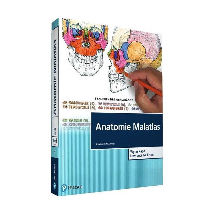 ANATOMIE MALATLAS