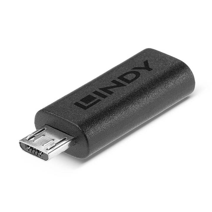 LINDY Adaptateur (USB C, USB 2.0 Micro Type-B)