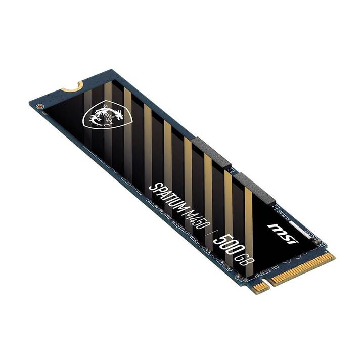MSI Spatium M450 (PCI Express, 500 GB, Noir)