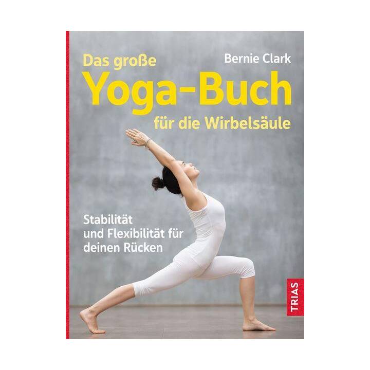 Das grosse Yoga-Buch für die Wirbelsäule