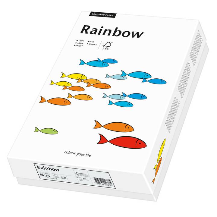 PAPYRUS Rainbow Carta colorata (250 foglio, A4, 120 g/m2)