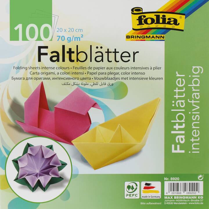 FOLIA Spezialpapier (Mehrfarbig, 100 Stück)
