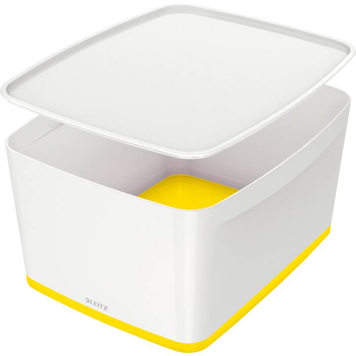 LEITZ Aufbewahrungsbox MyBox (38.5 cm x 31.8 cm x 19.8 cm)