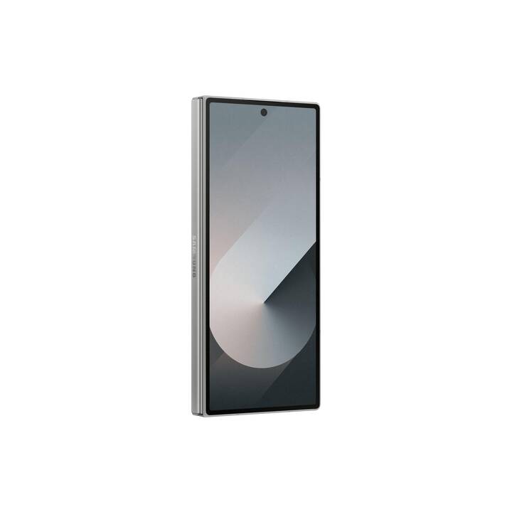 SAMSUNG Galaxy Z Fold6 (1000 GB, Silber, Silver Shadow, 7.6", 50 MP, 5G)