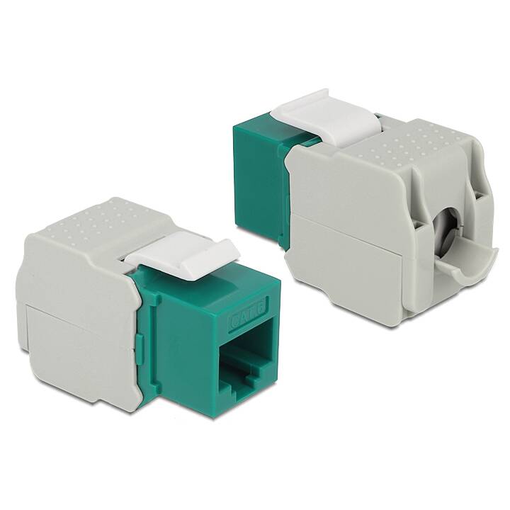 DELOCK Module Keystone