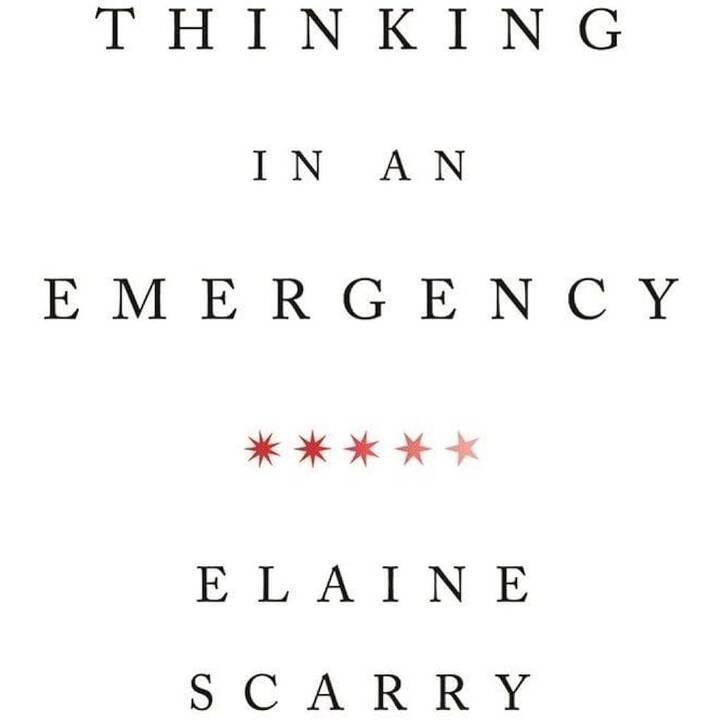 Thinking in an Emergency