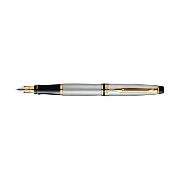 WATERMAN Expert Penne stilografice (Metallico, Oro)