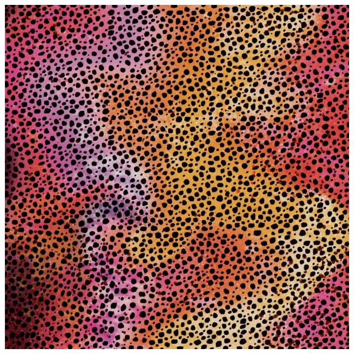 CRICUT Film de bricolage Rainbow Cheetah (30.5 cm x 30.5 cm, Mauve, Orange, Pink, Rose)