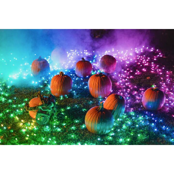 TWINKLY Ghirlanda di luci Strings 600L RGBW (600 LEDs)