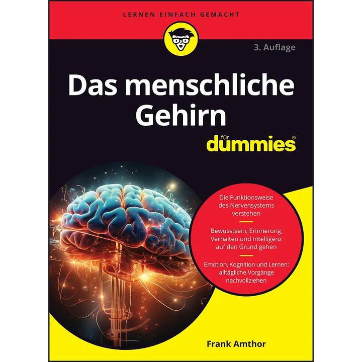 Das menschliche Gehirn für Dummies