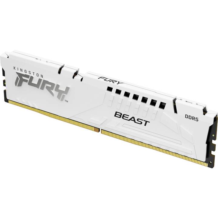 KINGSTON TECHNOLOGY Fury Beast KF560C36BWE2-16 (1 x 16 Go, DDR5 6000 MHz, DIMM 288-Pin)