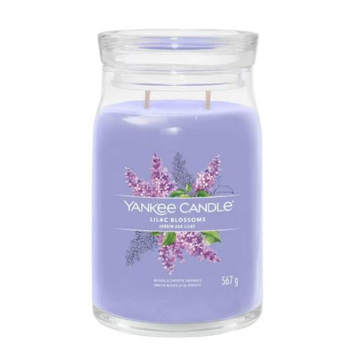 YANKEE CANDLE Candela profumata Lilac Blossoms - Interdiscount