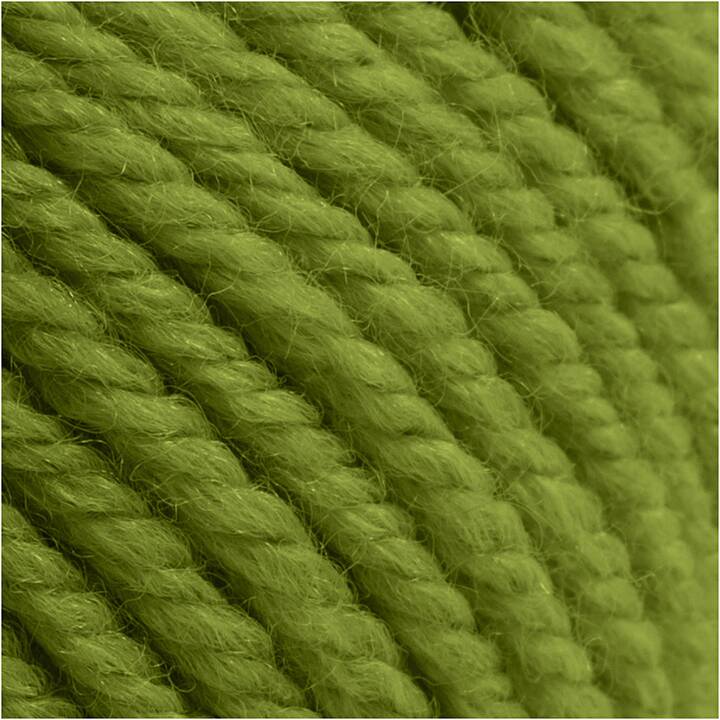 CREATIV COMPANY Wolle (100 g, Olivgrün, Grün)