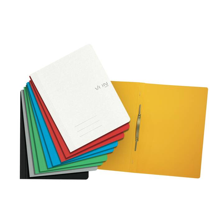 LEITZ Dossier d'index (Multicolore, A4, 10 pièce)