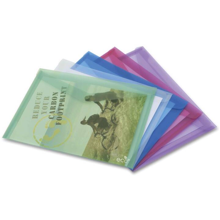 RAPESCO Dossier d'index (Multicolore, Transparent, A4, 5 pièce)