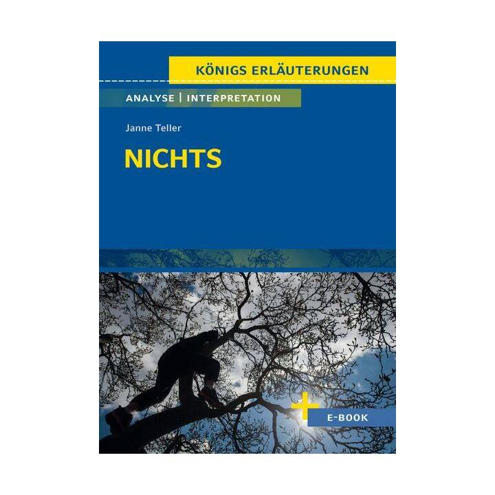 Nichts von Janne Teller - Textanalyse und Interpretation