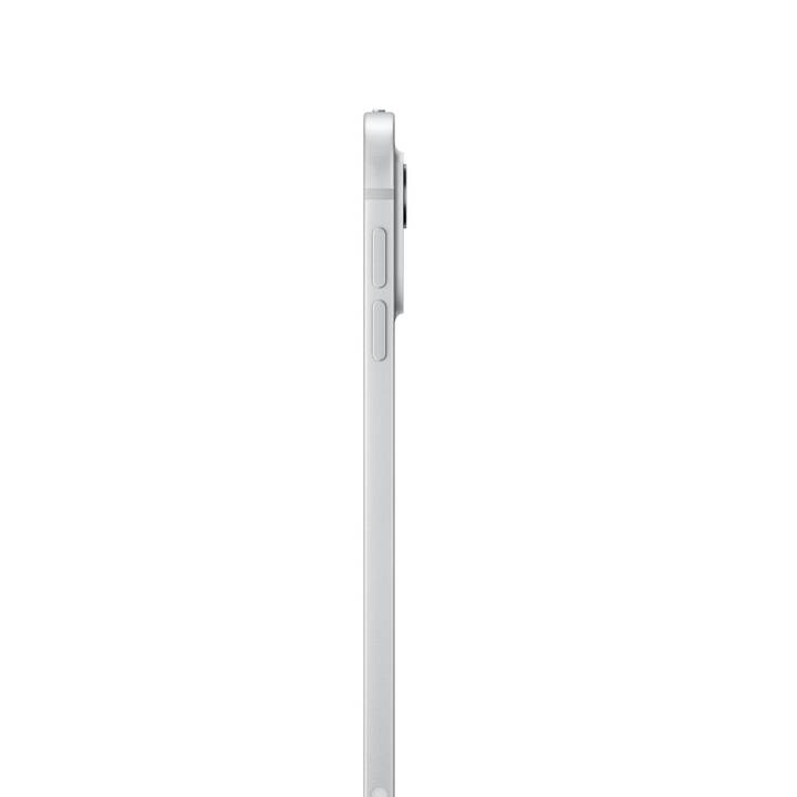 APPLE iPad Pro 11 WiFi + Cellular 2024 Nanotexture (11", 2 TB, Argent)