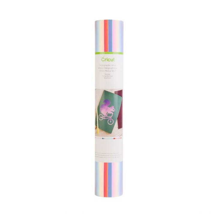CRICUT Pellicola vinilica Holographic (30.5 cm x 61 cm, Argento, Multicolore)