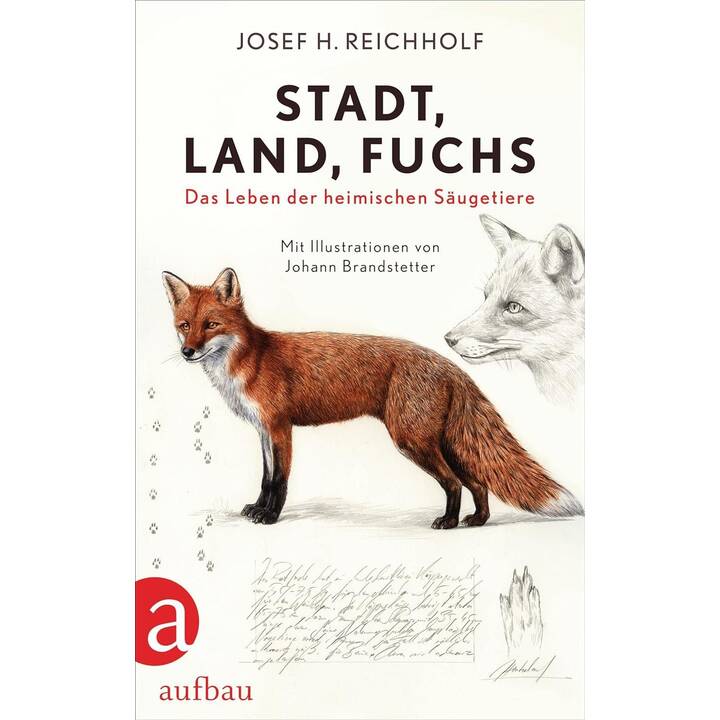 Stadt, Land, Fuchs