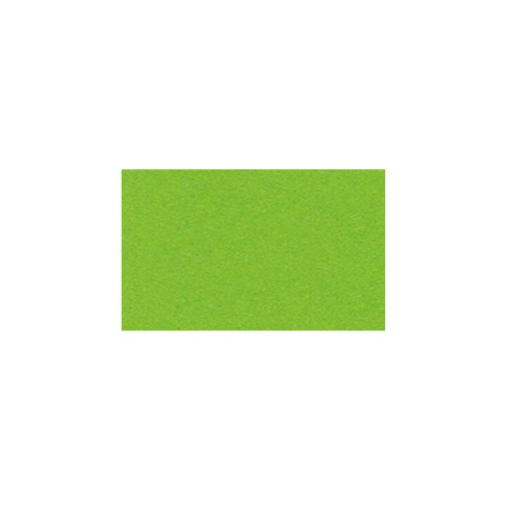 URSUS Cartone (Verde, A3, 100 pezzo)