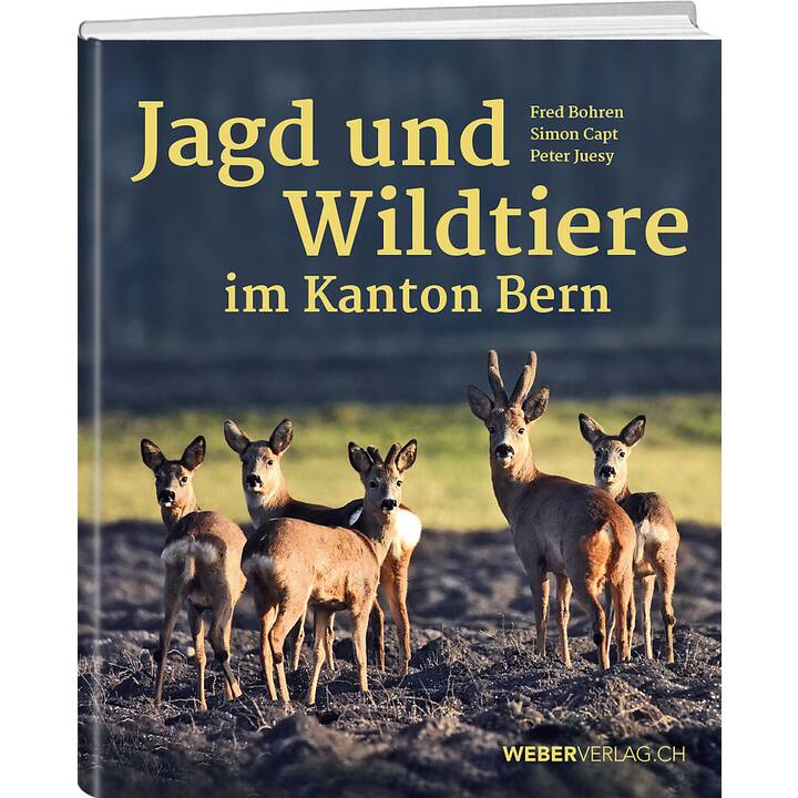 Jagd und Wildtiere im Kanton Bern