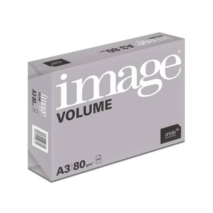 IMAGE Volume Papier photocopie (2500 feuille, A3, 80 g/m2)