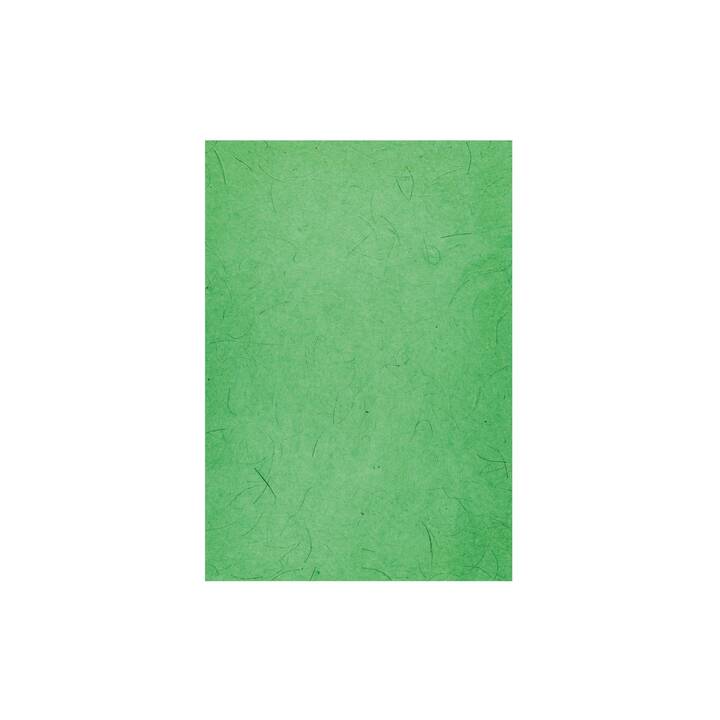 URSUS Papier spécial Pastell (Multicolore, 10 pièce)