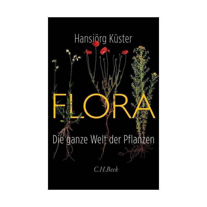 Flora