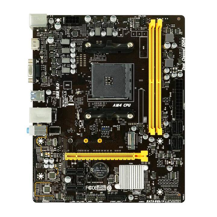 BIOSTAR B450MH (AM4, AMD B450, Micro ATX)