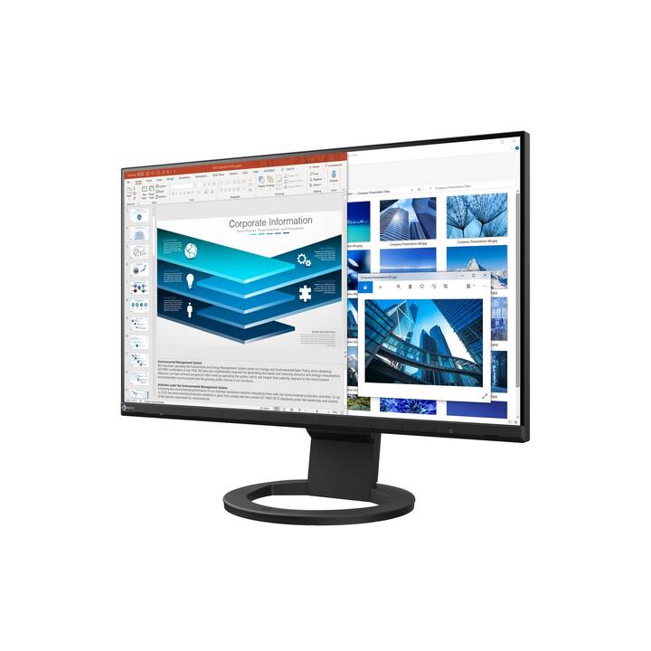 EIZO FlexScan EV2480 (23.8", 1920 x 1080)