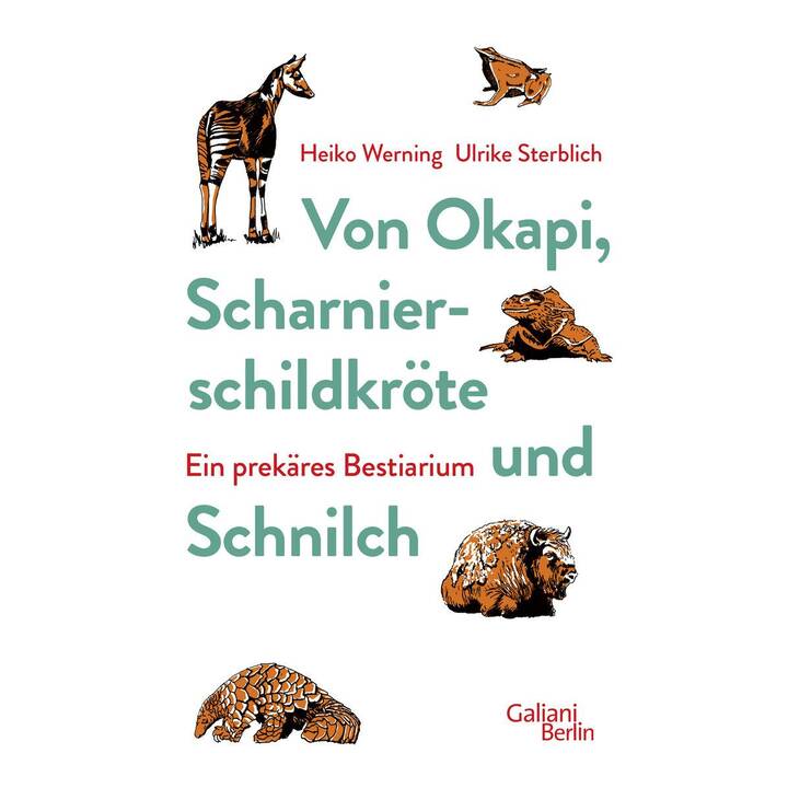 Von Okapi, Scharnierschildkröte und Schnilch