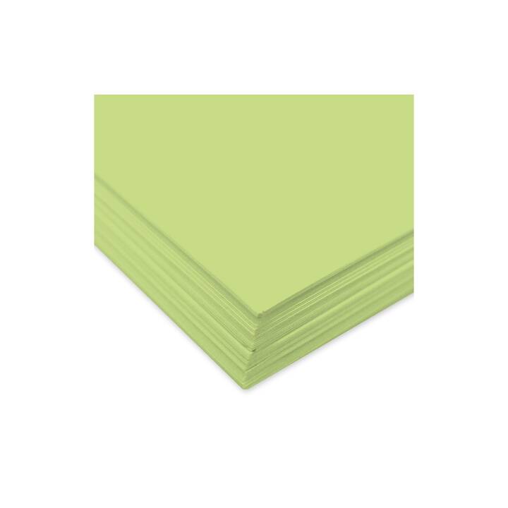 URSUS Papier à dessin de couleur (Vert, A4, 100 pièce)