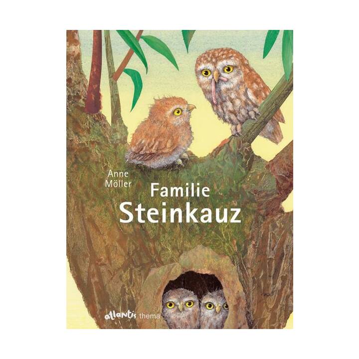 Familie Steinkauz