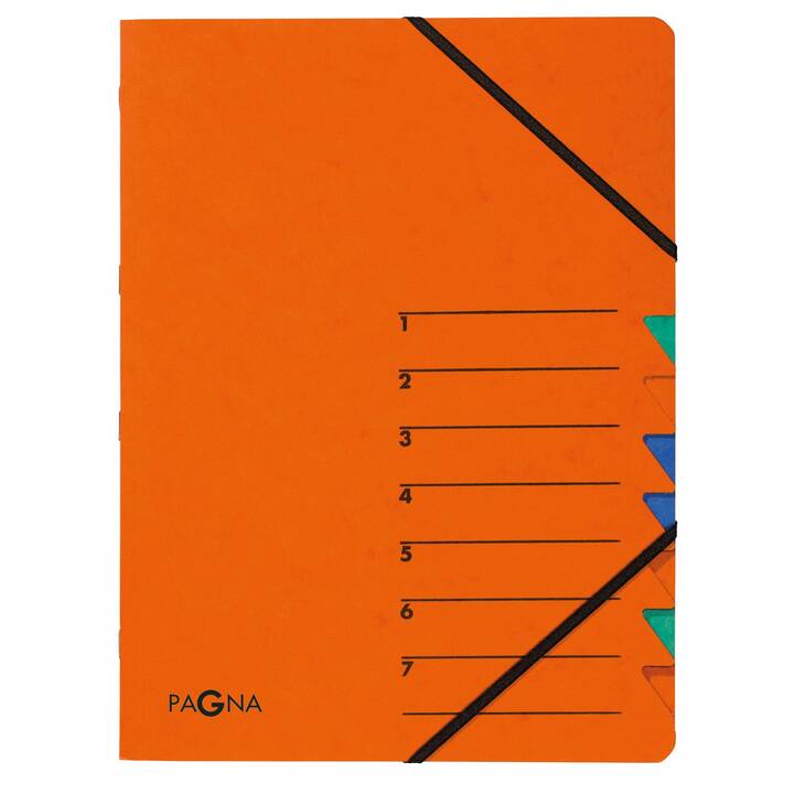 PAGNA Ordnungsmappe (Orange, A4, 1 Stück)