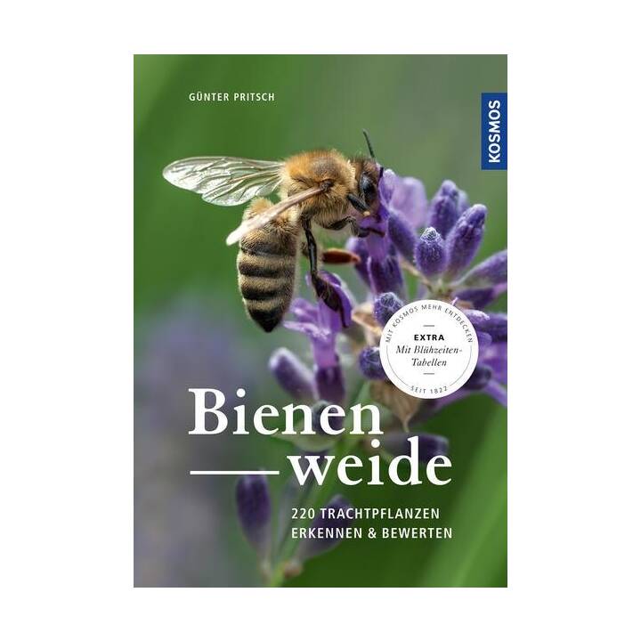 Bienenweide