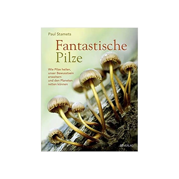 Fantastische Pilze