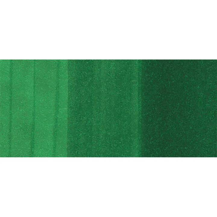 COPIC Marqueur de graphique Classic G19 Bright Parrot Green (Vert, 1 pièce)