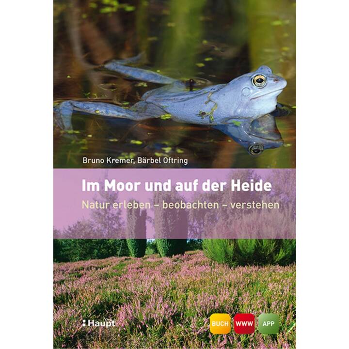 Im Moor und auf der Heide