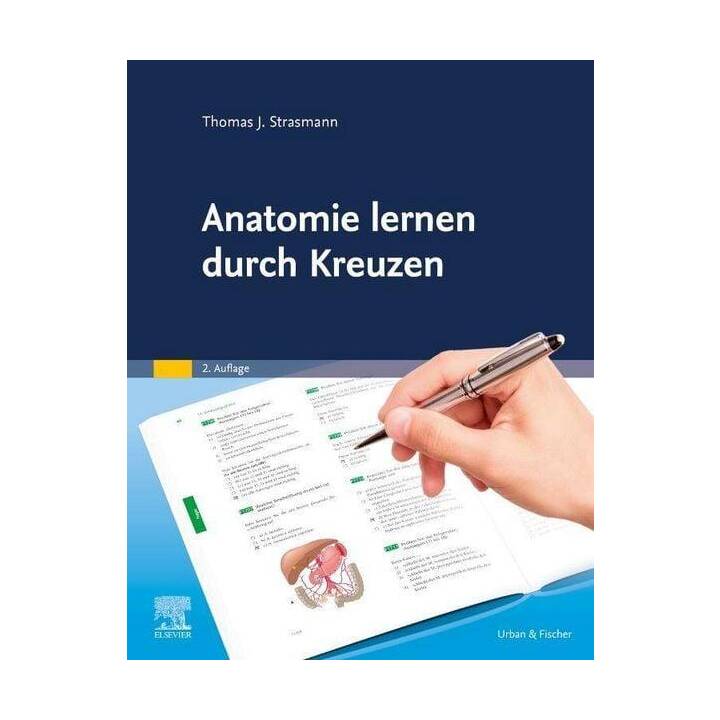 Anatomie lernen durch Kreuzen